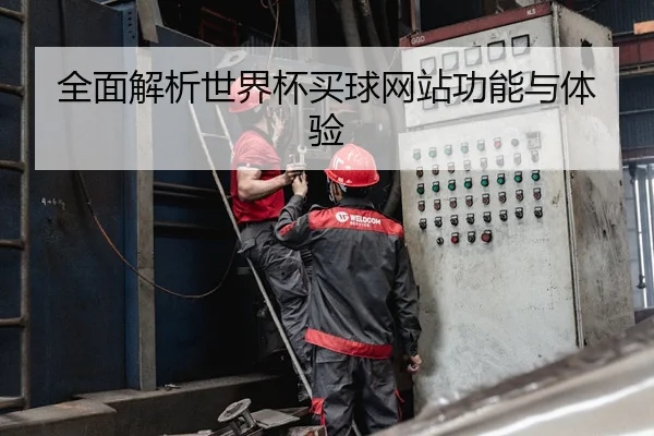 全面解析世界杯买球网站功能与体验