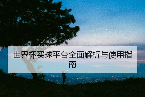 世界杯买球平台全面解析与使用指南