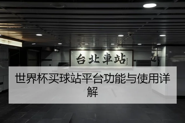 世界杯买球站平台功能与使用详解