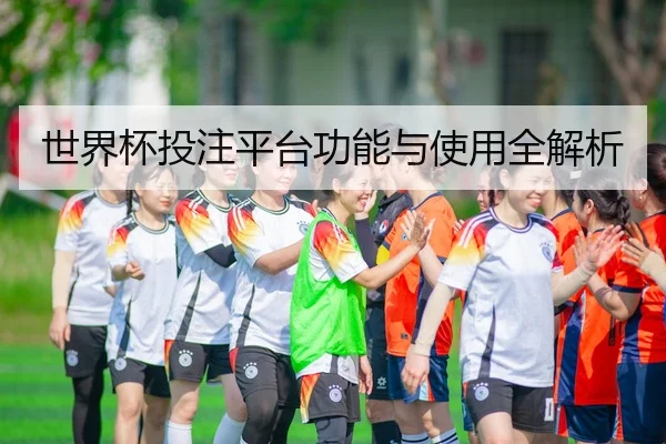 世界杯投注平台功能与使用全解析