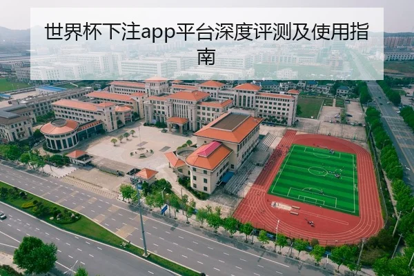 世界杯下注app平台深度评测及使用指南